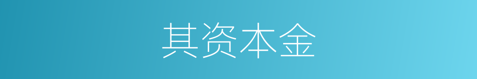 其资本金的同义词