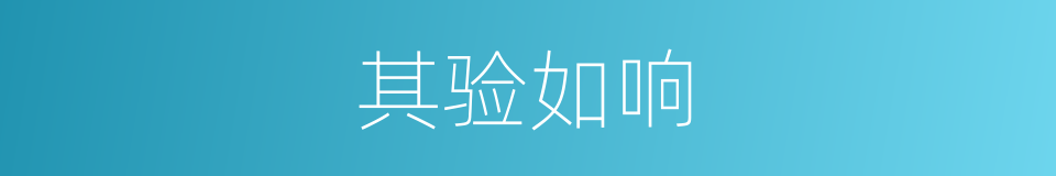 其验如响的意思
