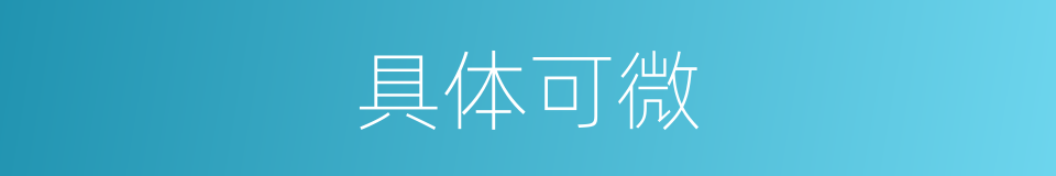 具体可微的意思