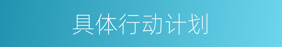 具体行动计划的同义词