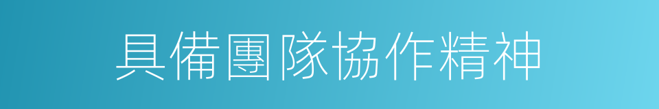 具備團隊協作精神的同義詞