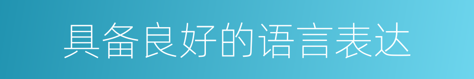 具备良好的语言表达的同义词