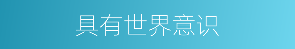 具有世界意识的同义词