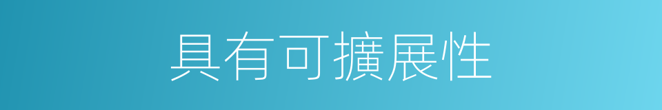 具有可擴展性的同義詞