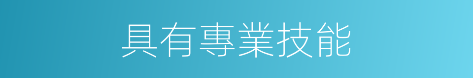 具有專業技能的同義詞