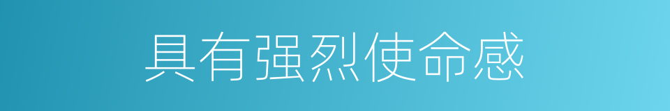 具有强烈使命感的同义词