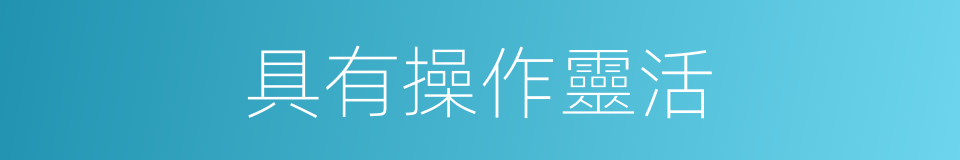 具有操作靈活的同義詞