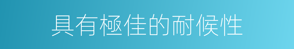 具有極佳的耐候性的同義詞