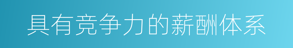 具有竞争力的薪酬体系的同义词