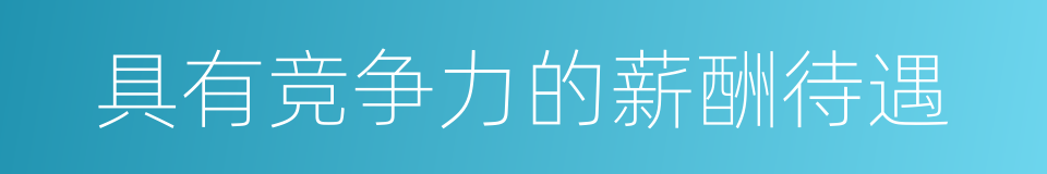 具有竞争力的薪酬待遇的同义词