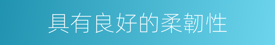 具有良好的柔韌性的同義詞
