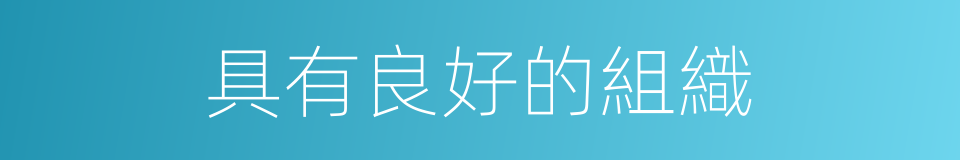 具有良好的組織的同義詞
