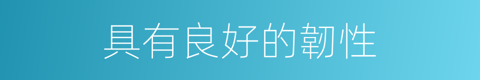 具有良好的韌性的同義詞