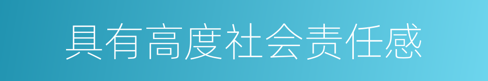 具有高度社会责任感的同义词