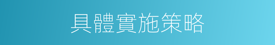 具體實施策略的同義詞