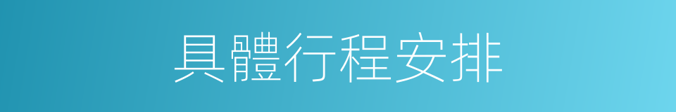 具體行程安排的同義詞