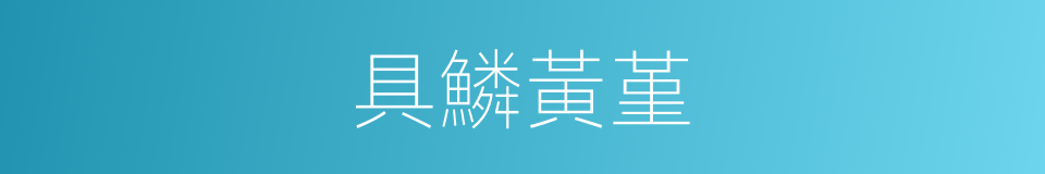 具鱗黃堇的同義詞
