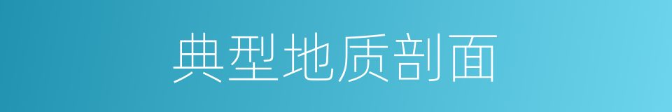 典型地质剖面的同义词