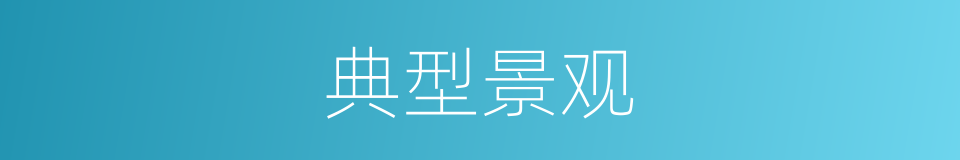 典型景观的同义词