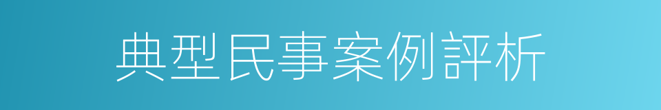 典型民事案例評析的同義詞