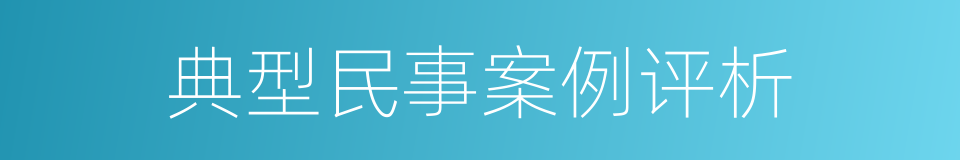 典型民事案例评析的同义词