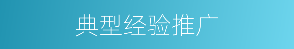 典型经验推广的同义词