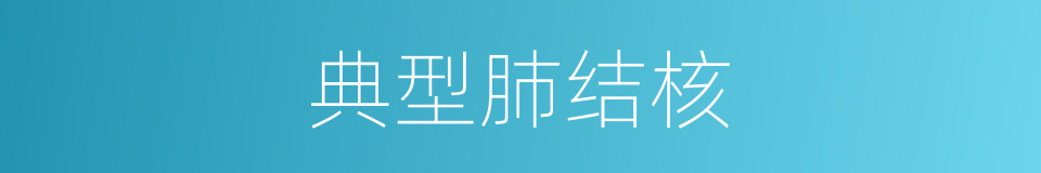 典型肺结核的同义词