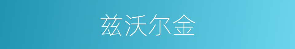 兹沃尔金的同义词