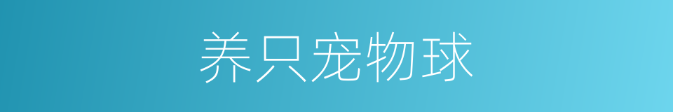 养只宠物球的同义词