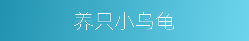 养只小乌龟的同义词