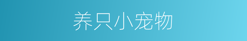 养只小宠物的同义词