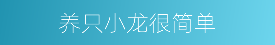 养只小龙很简单的同义词