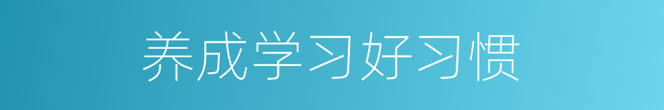 养成学习好习惯的同义词