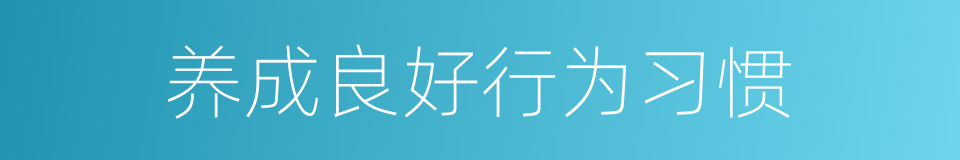 养成良好行为习惯的同义词