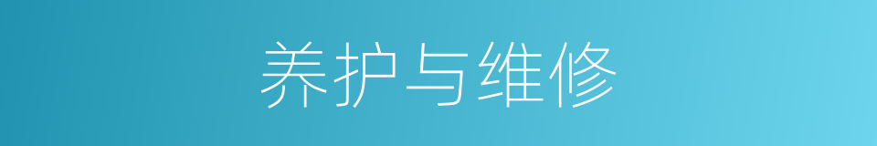 养护与维修的同义词