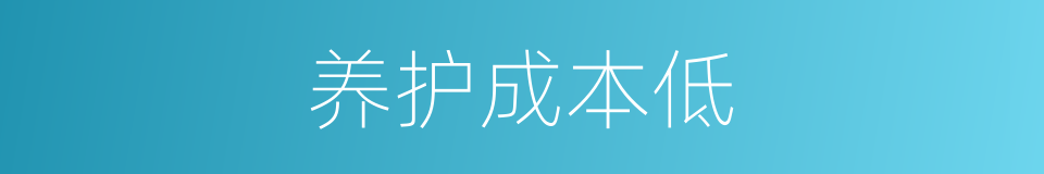 养护成本低的同义词