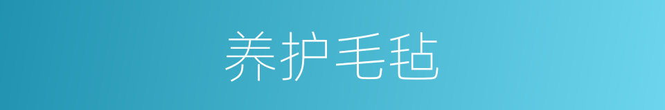 养护毛毡的同义词