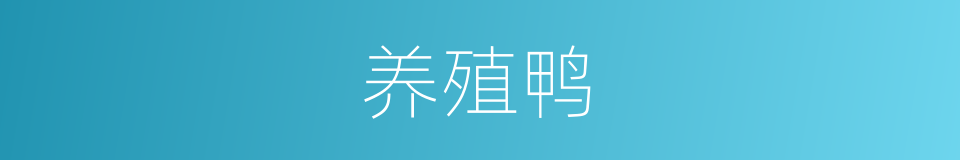 养殖鸭的同义词