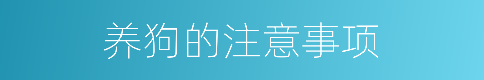 养狗的注意事项的同义词