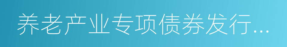 养老产业专项债券发行指引的同义词