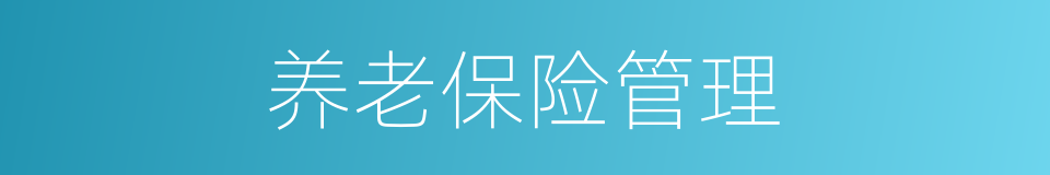 养老保险管理的同义词