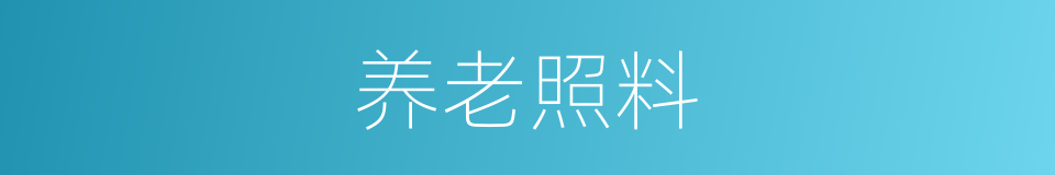 养老照料的同义词