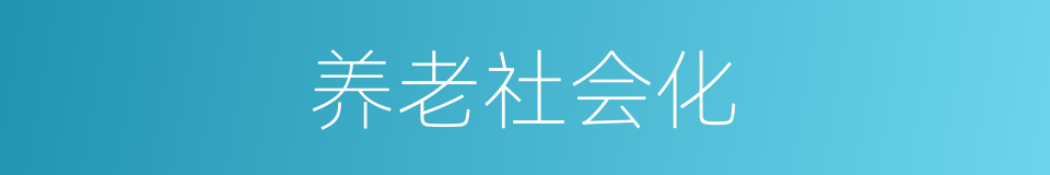 养老社会化的同义词