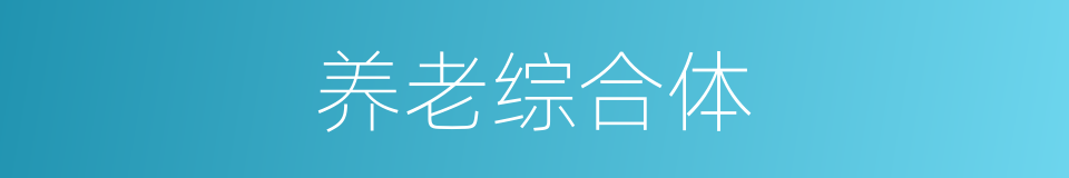 养老综合体的同义词