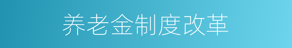养老金制度改革的同义词