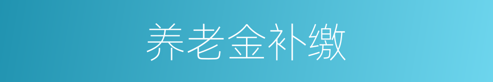 养老金补缴的同义词
