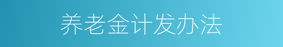 养老金计发办法的同义词