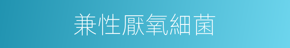 兼性厭氧細菌的同義詞
