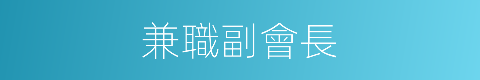 兼職副會長的同義詞