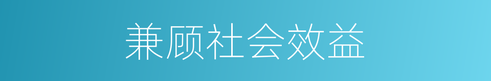 兼顾社会效益的同义词